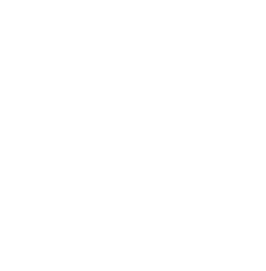 Fein-logo